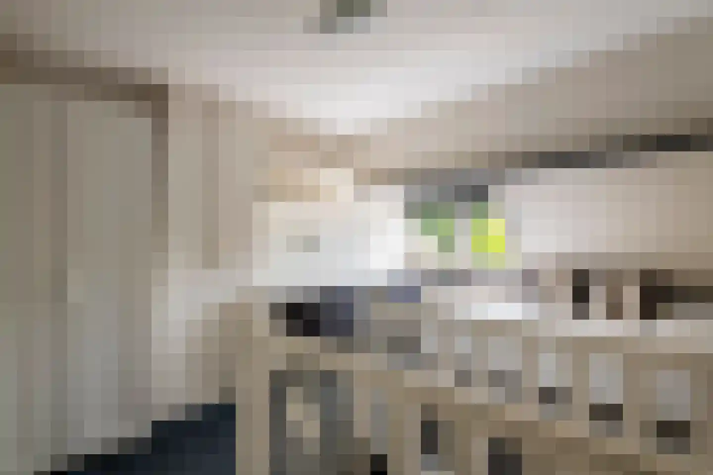 Julianalaan 19 Tiel thumbnail 68