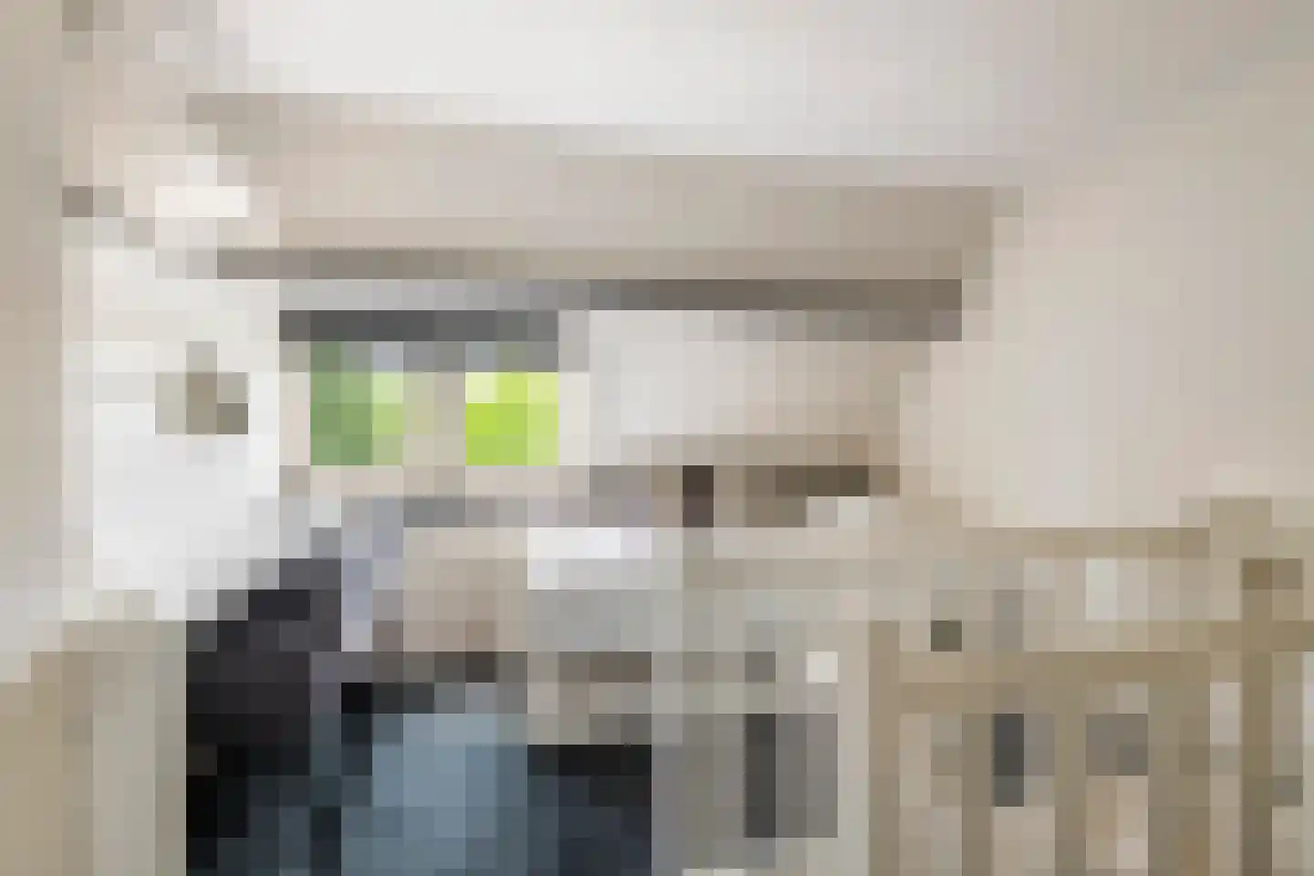 Julianalaan 19 Tiel thumbnail 69