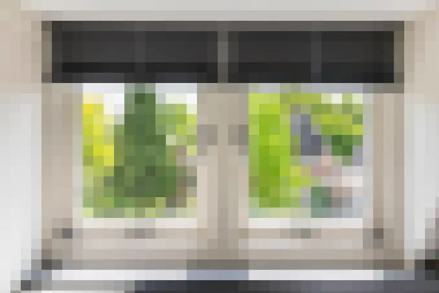 Julianalaan 19 Tiel thumbnail 71