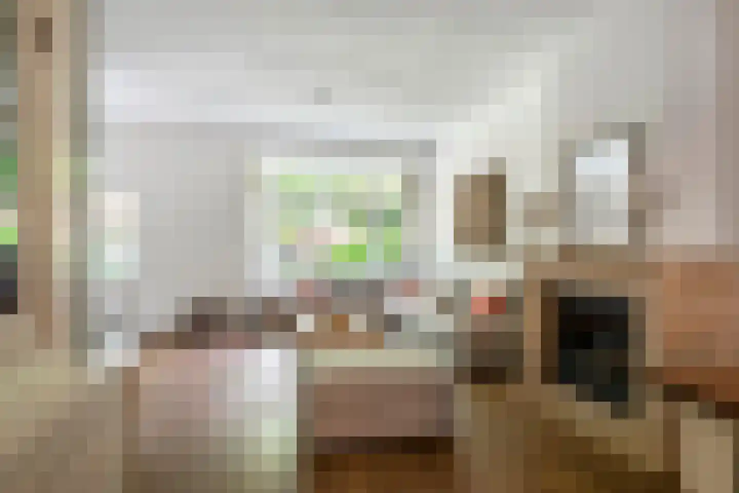 Julianalaan 19 Tiel thumbnail 8