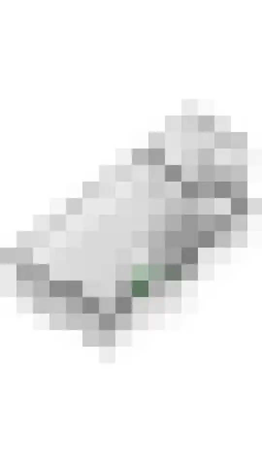 Julianalaan 19 Tiel thumbnail 82