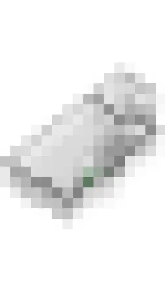 Julianalaan 19 Tiel thumbnail 84