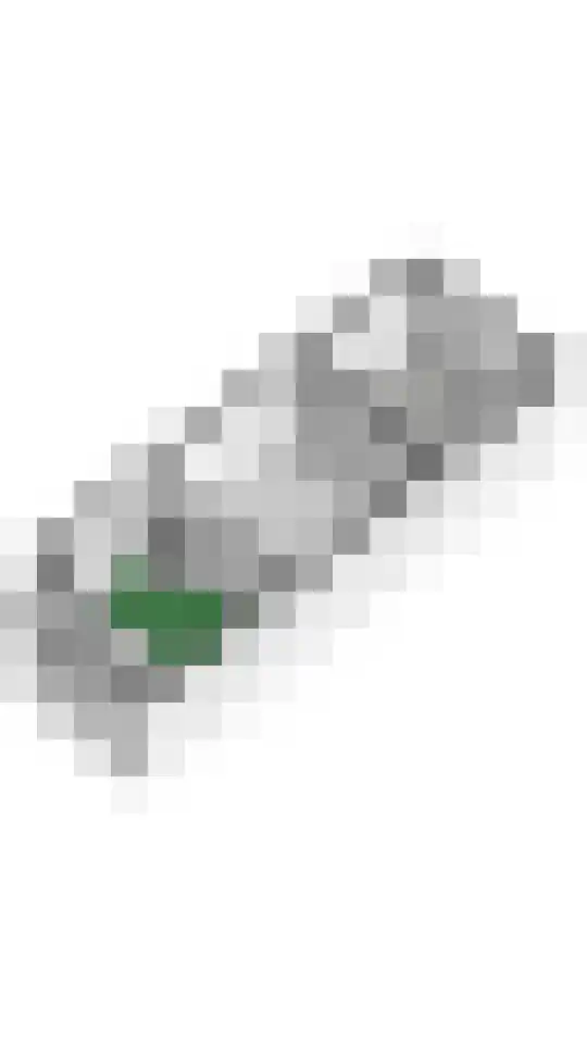 Julianalaan 19 Tiel thumbnail 84
