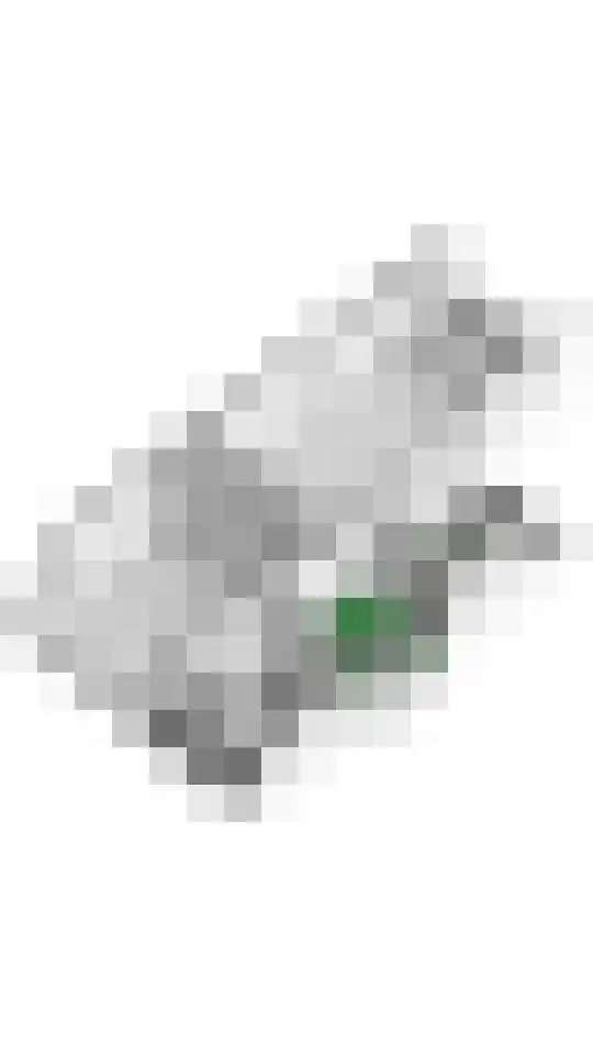 Julianalaan 19 Tiel thumbnail 87