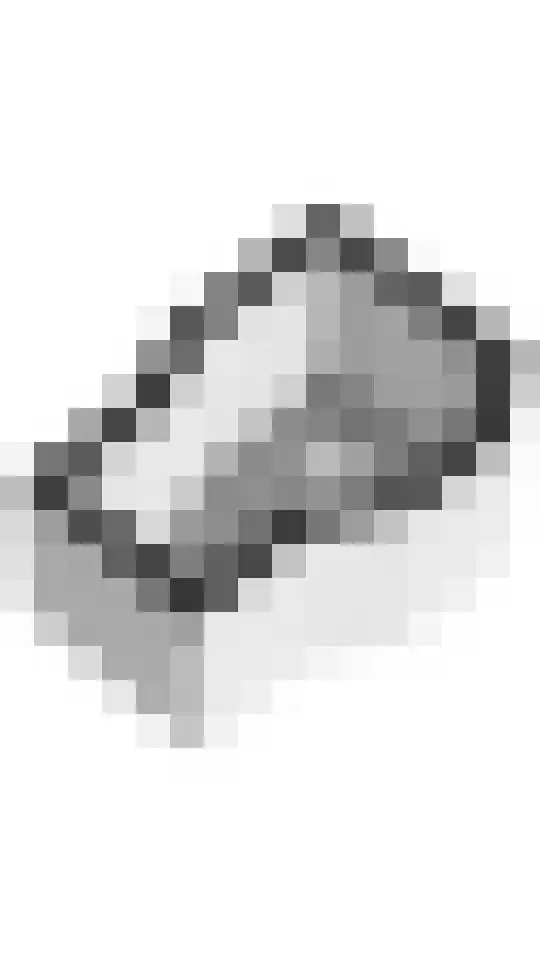 Julianalaan 19 Tiel thumbnail 90