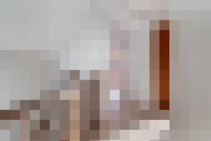 Julianalaan 19 Vaassen thumbnail 17