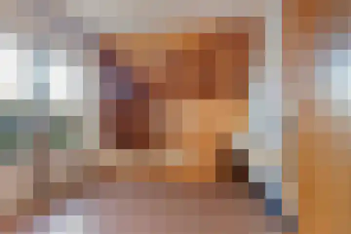 Julianalaan 19 Vaassen thumbnail 18