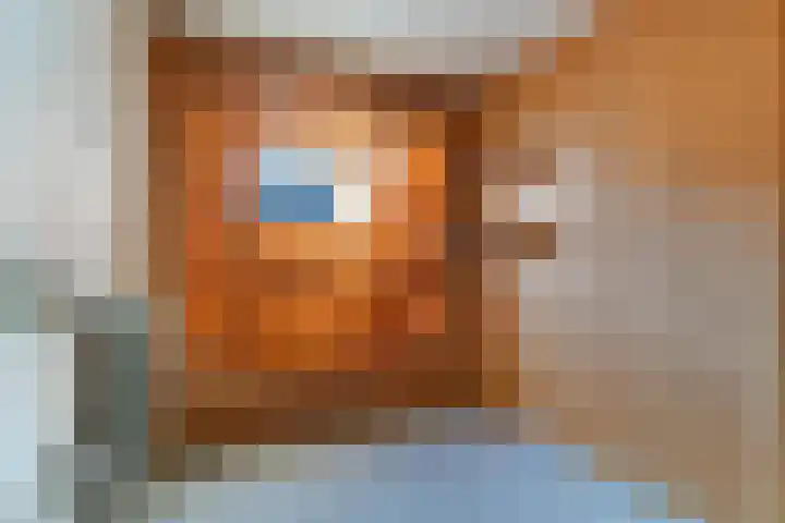 Julianalaan 19 Vaassen thumbnail 21