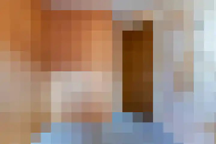 Julianalaan 19 Vaassen thumbnail 22