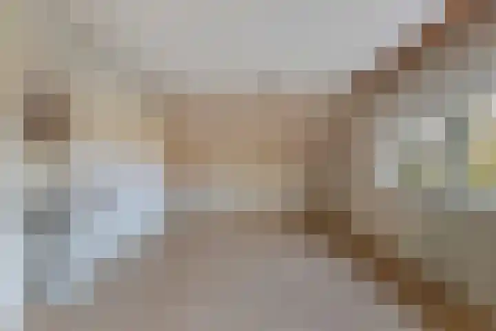 Julianalaan 19 Vaassen thumbnail 23