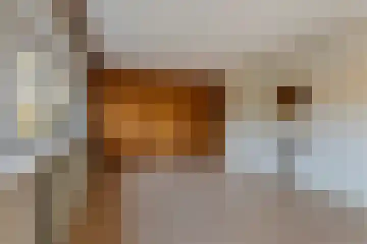 Julianalaan 19 Vaassen thumbnail 24