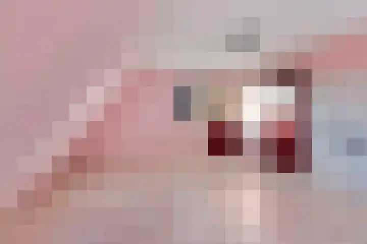 Julianalaan 19 Vaassen thumbnail 26