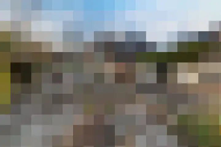 Julianalaan 19 Vaassen thumbnail 33
