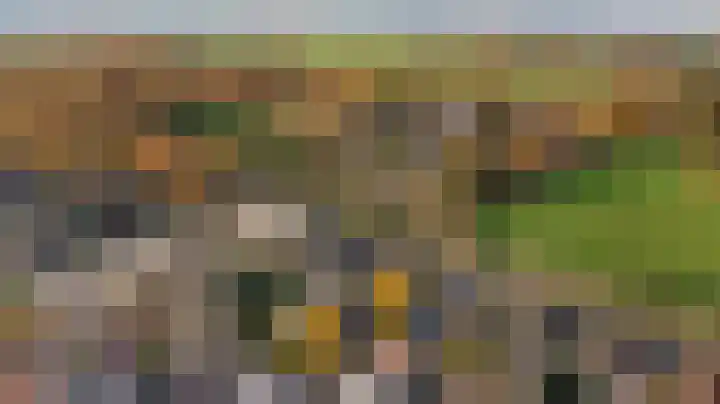 Julianalaan 19 Vaassen thumbnail 34