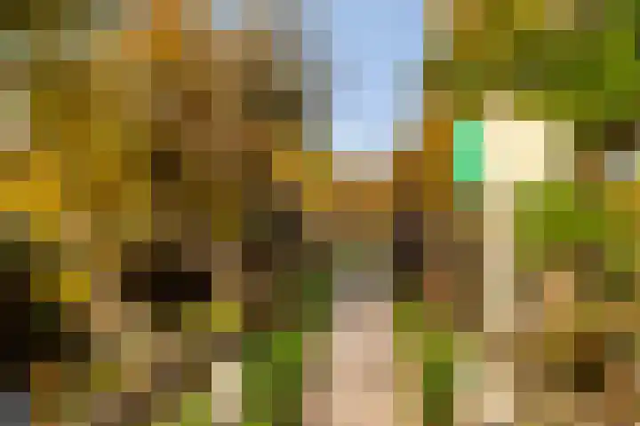 Julianalaan 19 Vaassen thumbnail 35