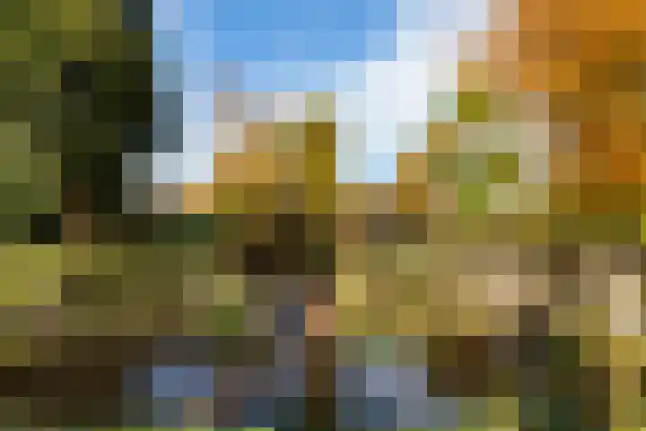 Julianalaan 19 Vaassen thumbnail 36