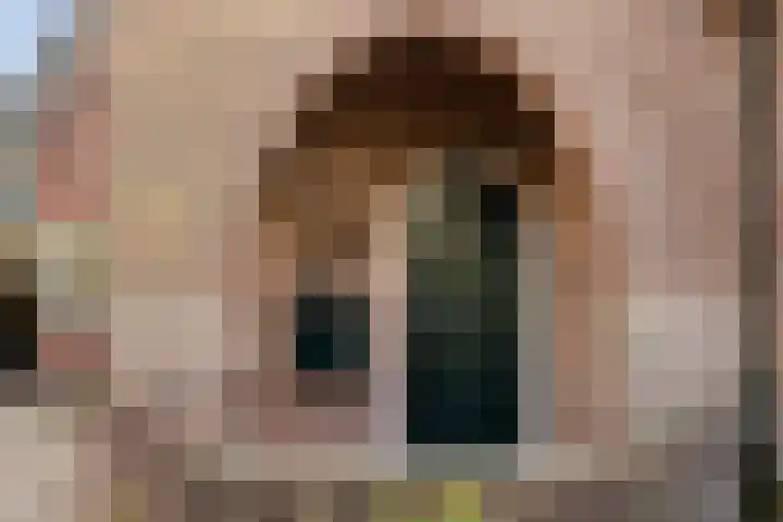 Julianalaan 19 Vaassen thumbnail 4