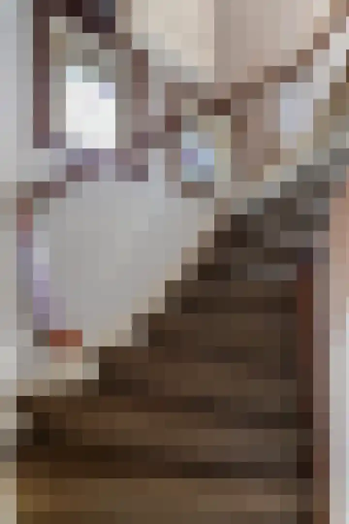 Julianalaan 19 Vaassen thumbnail 6