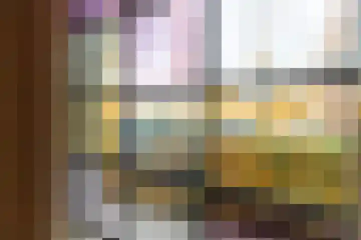 Julianalaan 19 Vaassen thumbnail 7
