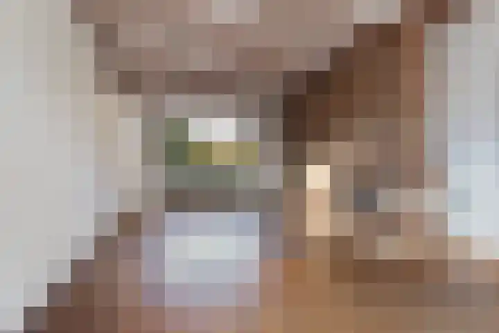 Julianalaan 19 Vaassen thumbnail 8