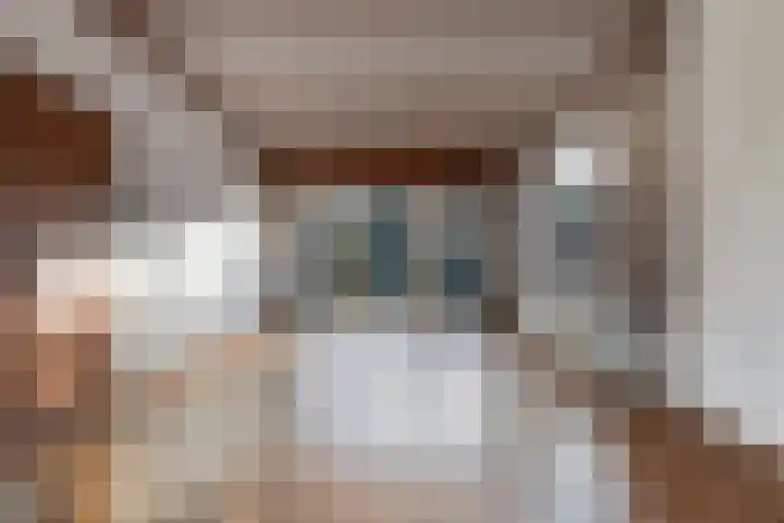 Julianalaan 19 Vaassen thumbnail 9