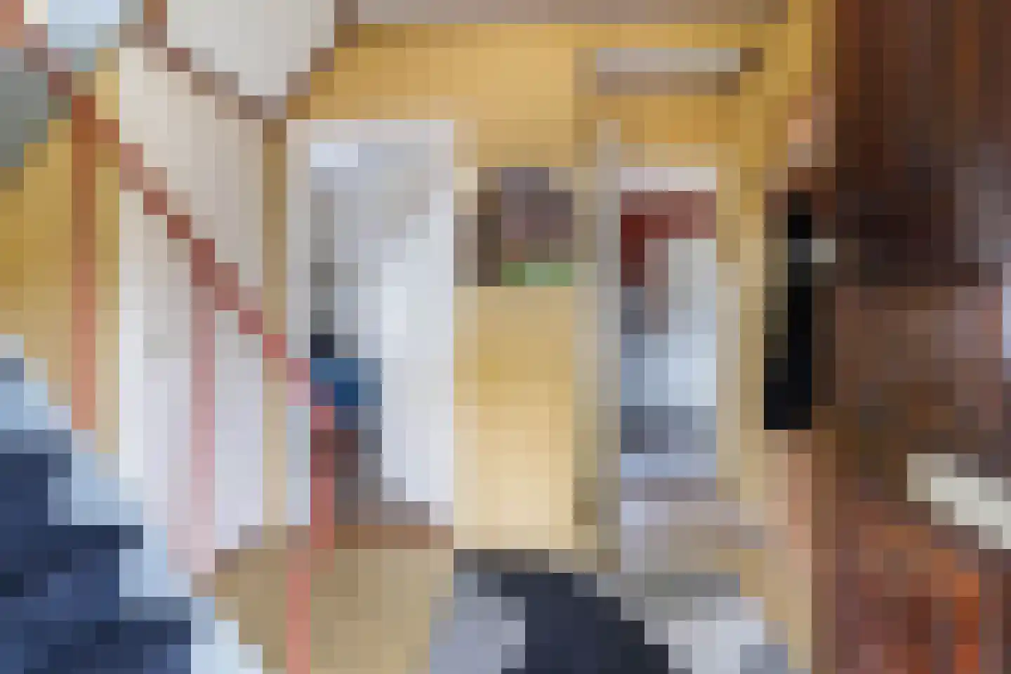 Julianalaan 2 A Buitenpost thumbnail 13