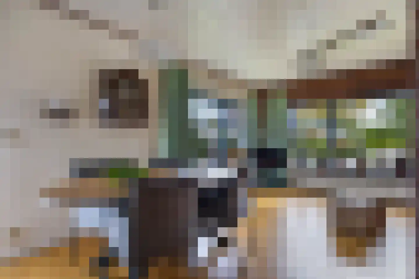 Julianalaan 2 A Buitenpost thumbnail 17