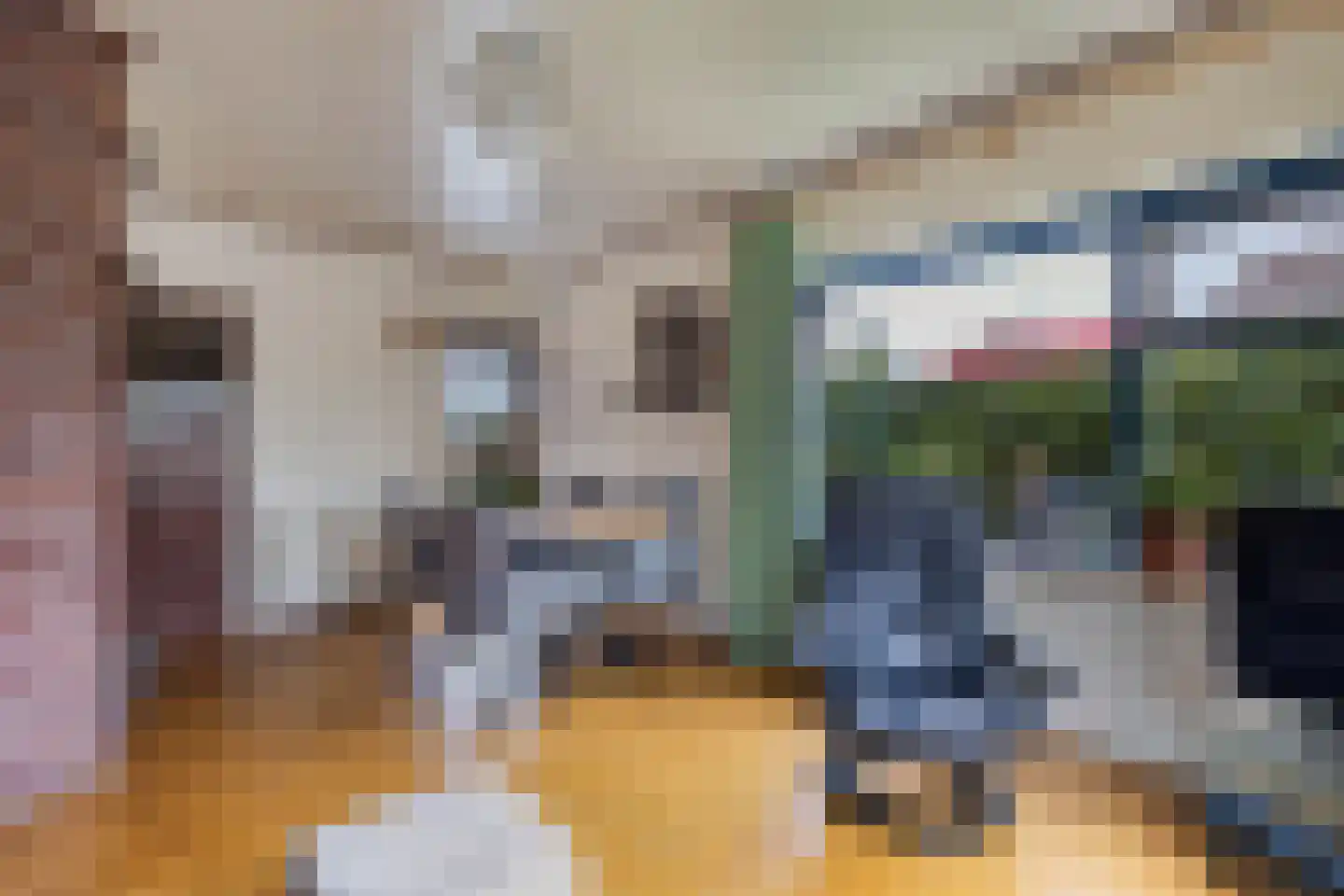 Julianalaan 2 A Buitenpost thumbnail 20