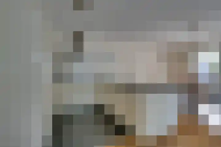 Julianalaan 2 a De Rijp thumbnail 15