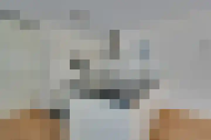 Julianalaan 2 a De Rijp thumbnail 16