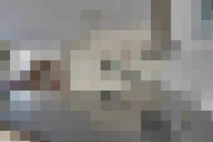 Julianalaan 2 a De Rijp thumbnail 17