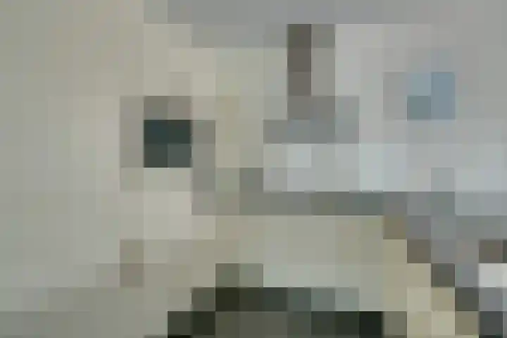 Julianalaan 2 a De Rijp thumbnail 19