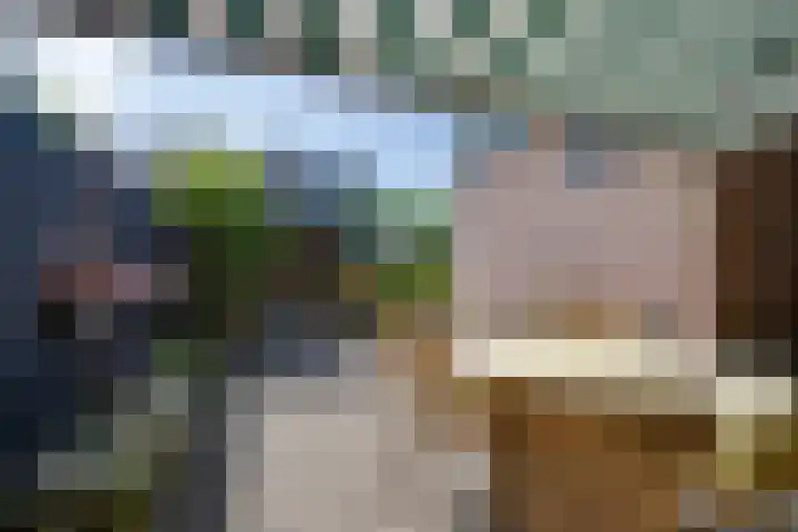 Julianalaan 2 a De Rijp thumbnail 21