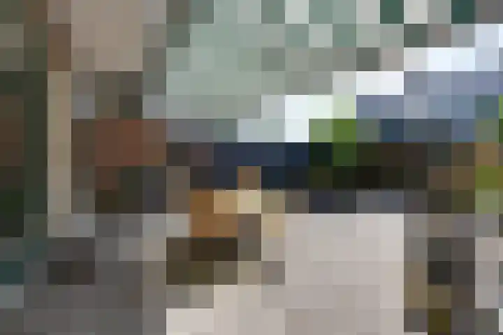 Julianalaan 2 a De Rijp thumbnail 22