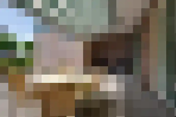 Julianalaan 2 a De Rijp thumbnail 23