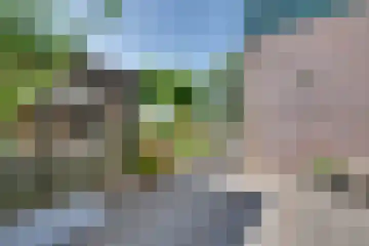 Julianalaan 2 a De Rijp thumbnail 29