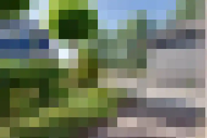 Julianalaan 2 a De Rijp thumbnail 30