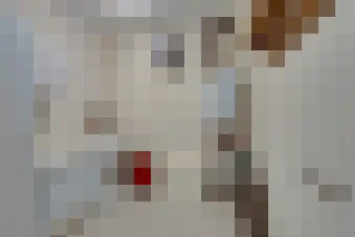 Julianalaan 2 a De Rijp thumbnail 33