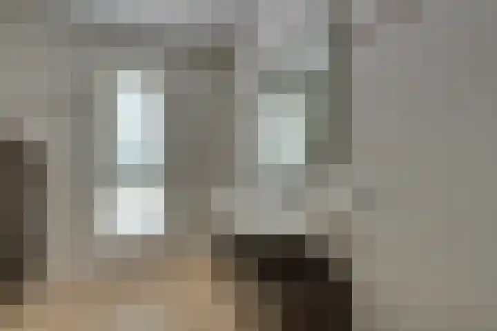 Julianalaan 2 a De Rijp thumbnail 41