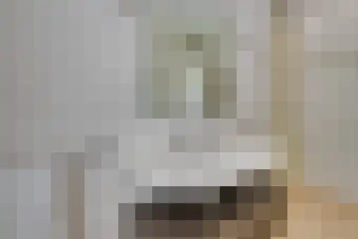 Julianalaan 2 a De Rijp thumbnail 42