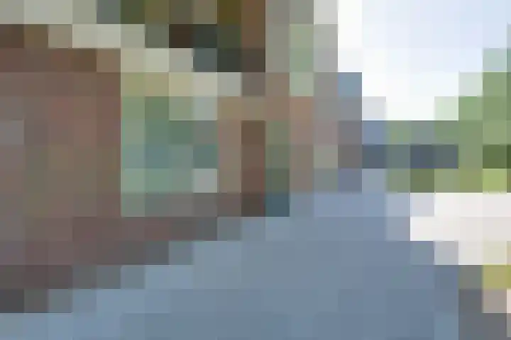 Julianalaan 2 a De Rijp thumbnail 49