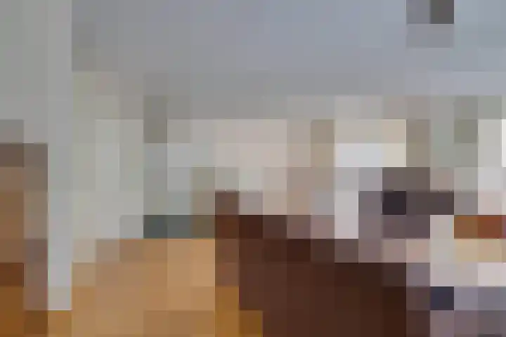 Julianalaan 2 a De Rijp thumbnail 6