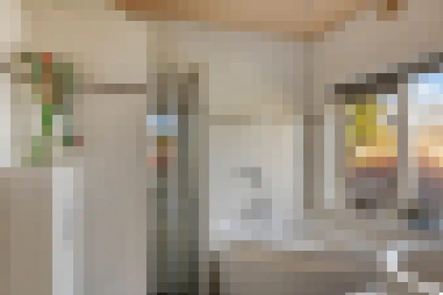 Julianalaan 2 a Nieuwlande thumbnail 14