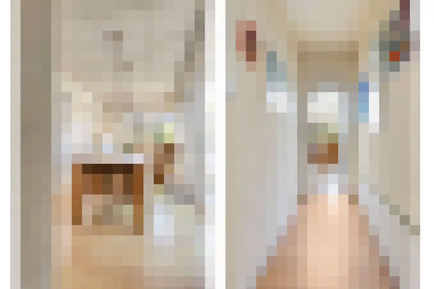 Julianalaan 2 a Nieuwlande thumbnail 17
