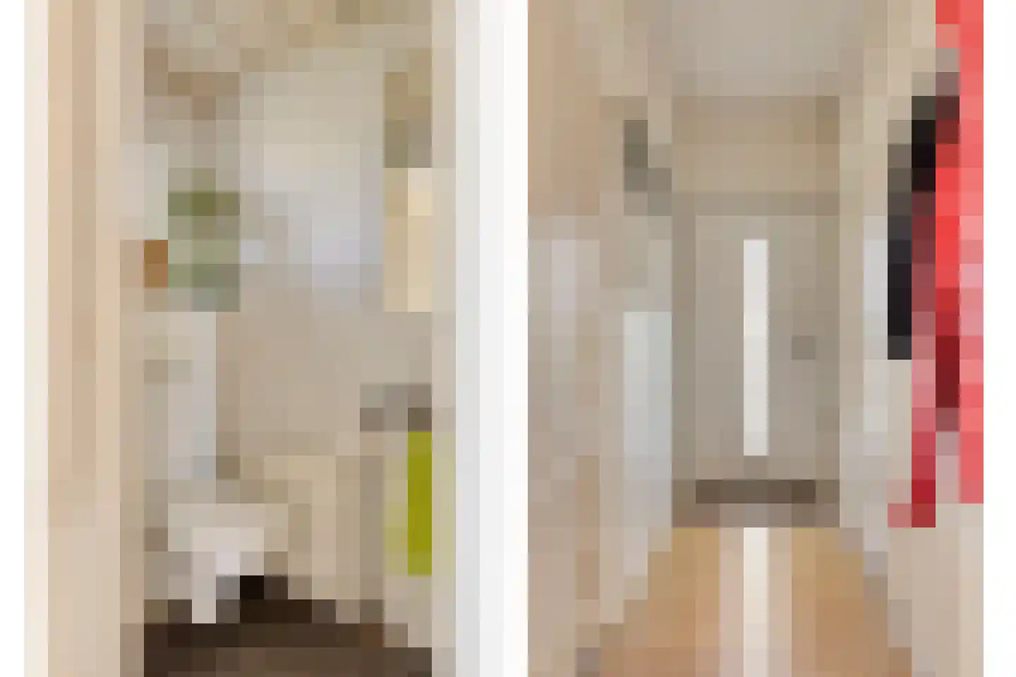 Julianalaan 2 a Nieuwlande thumbnail 22