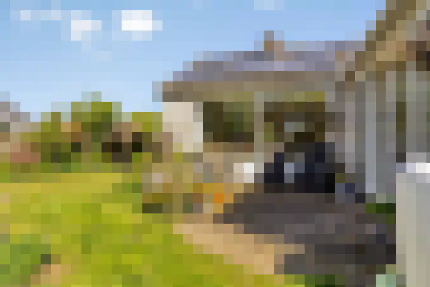 Julianalaan 2 a Nieuwlande thumbnail 24