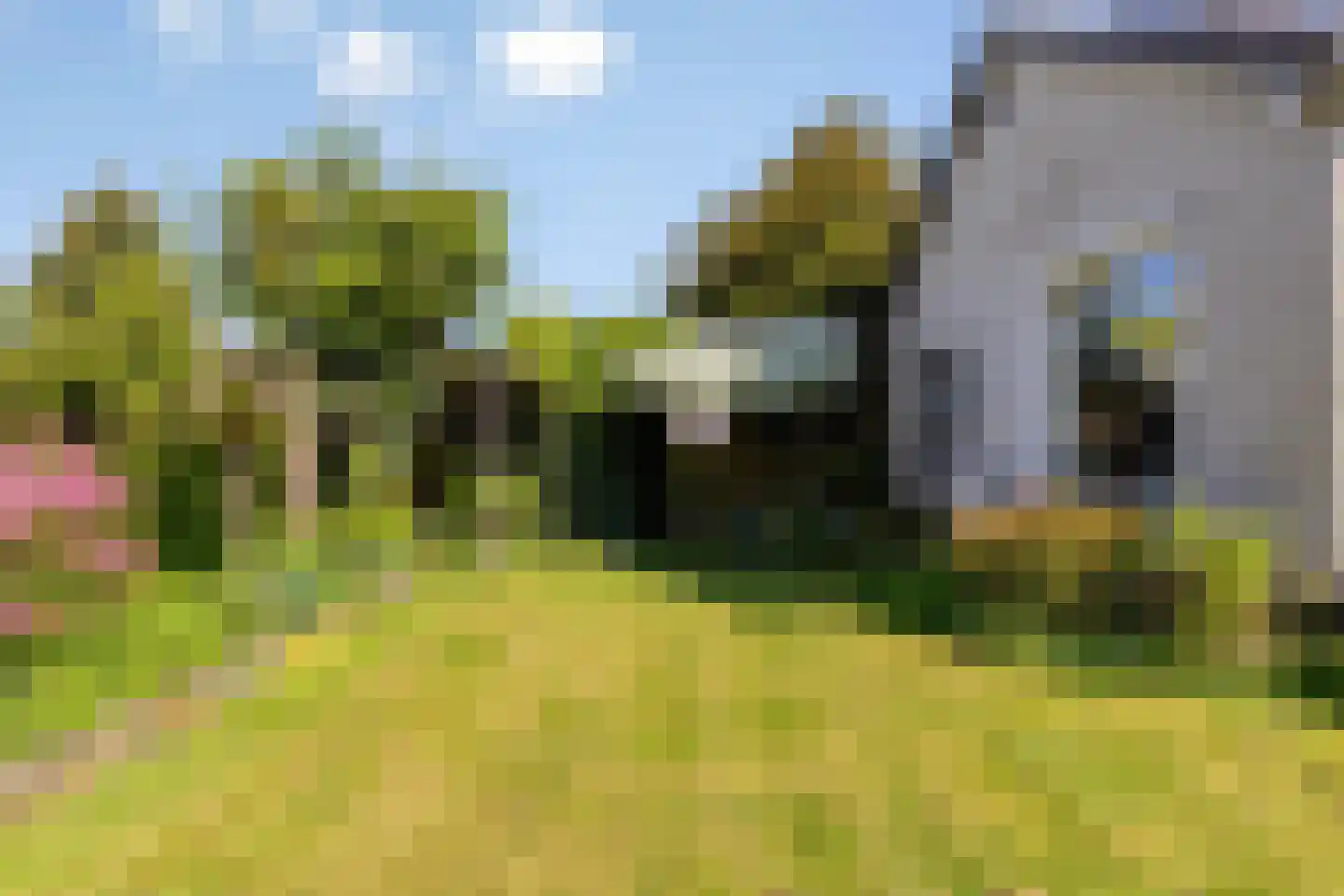 Julianalaan 2 a Nieuwlande thumbnail 26