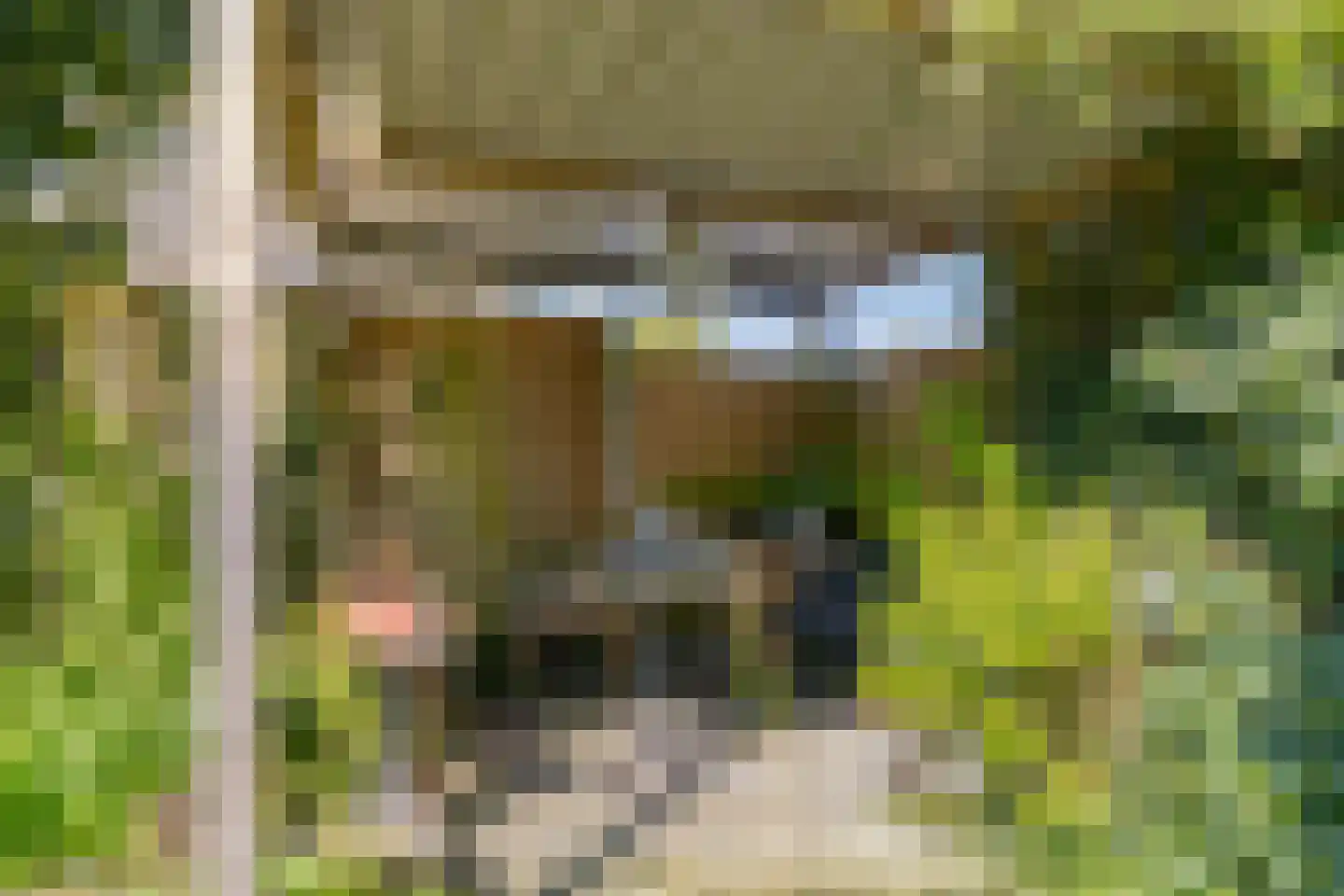 Julianalaan 2 a Nieuwlande thumbnail 27