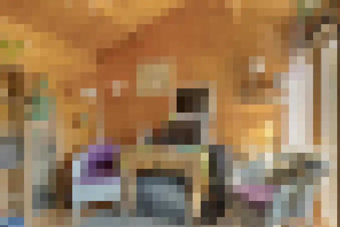 Julianalaan 2 a Nieuwlande thumbnail 32
