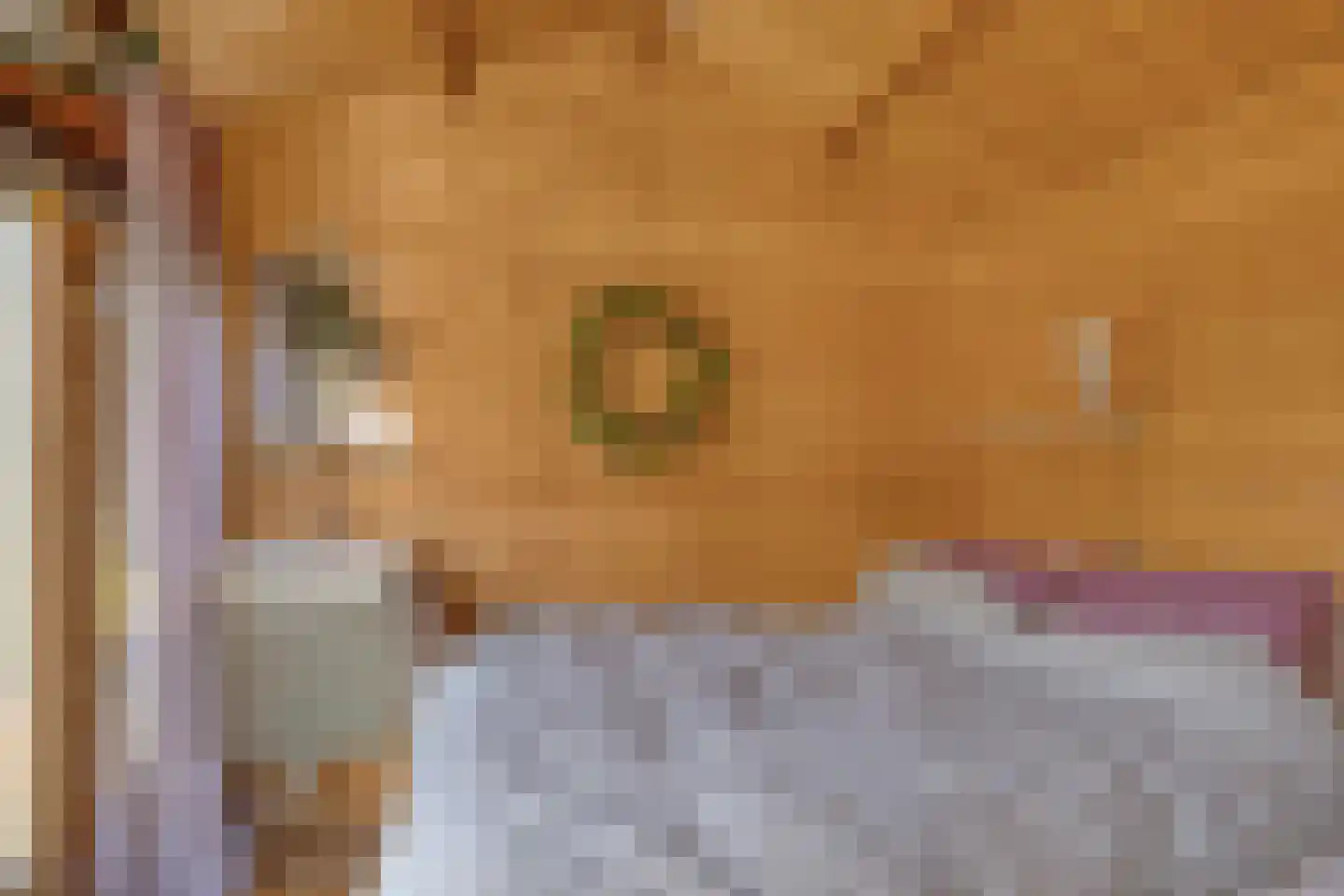 Julianalaan 2 a Nieuwlande thumbnail 33